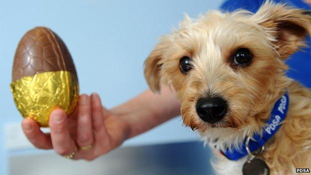 Dog with Easter egg