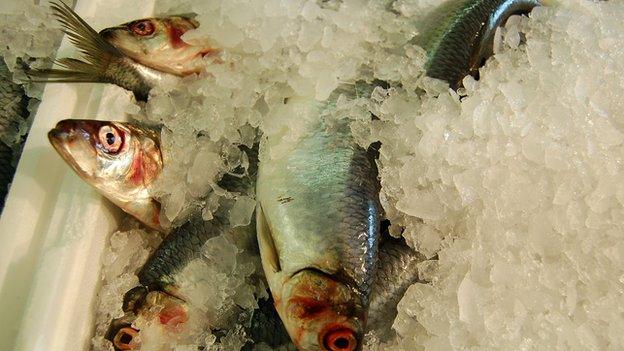 Fresh fish on ice - file pic