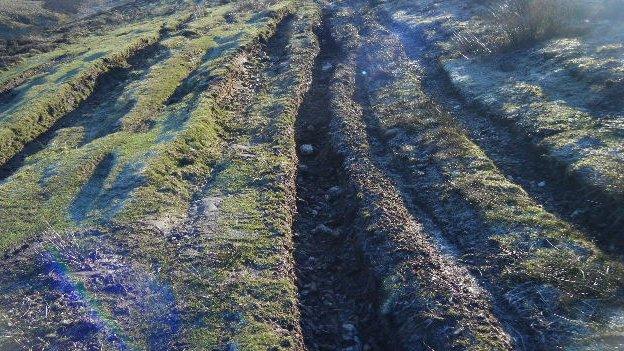 Manx countryside