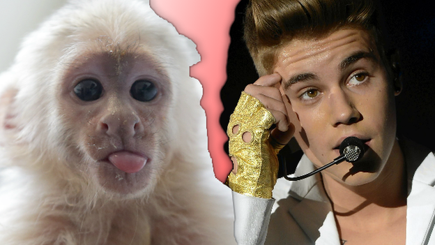 Justin Bieber and his pet monkey Mally.