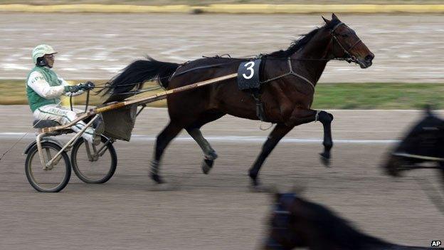 Driver Giuseppe Pietro Masio on horse Hodvig Lavec