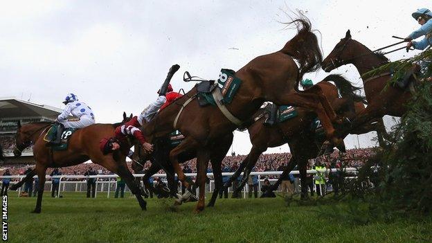 Grand National fence