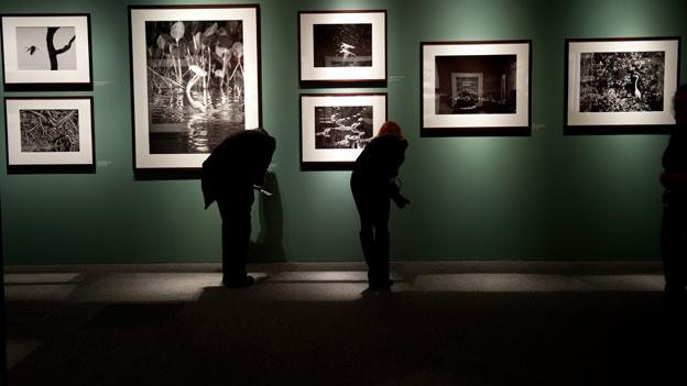 Genesis at the Natural History Museum