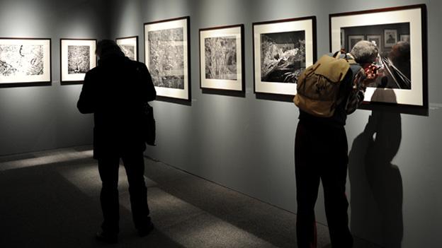 Genesis at the Natural History Museum