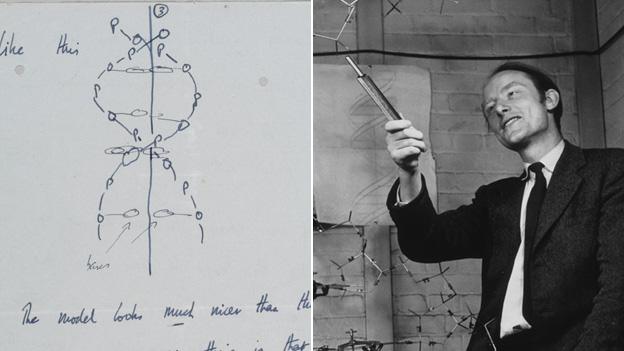 Francis Crick and sketch of the DNA structure