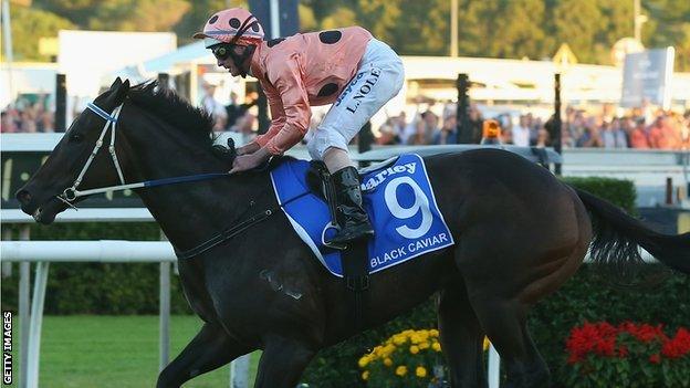 Black Caviar in action at Royal Randwick