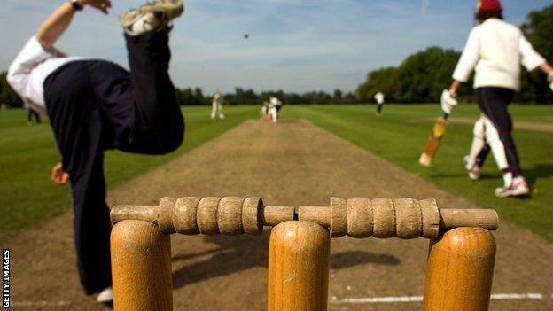 School cricket