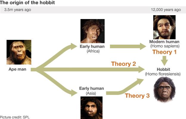 Hobbit descendants flow chart