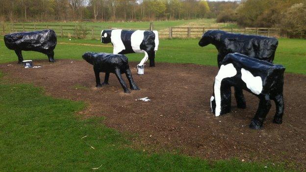 Milton Keynes cows being repainted