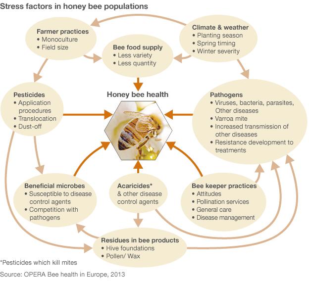 Infographic