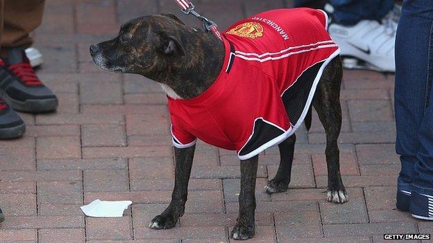 Dog in a Manchester United shirt in Albert Square