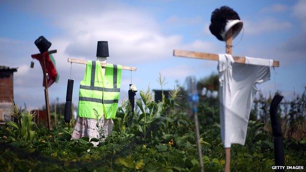 Scarecrows