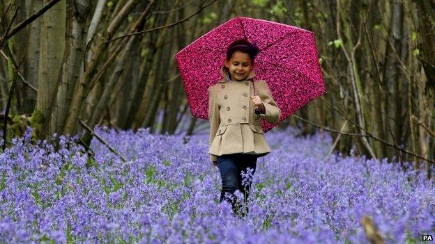 Girl in bluebells