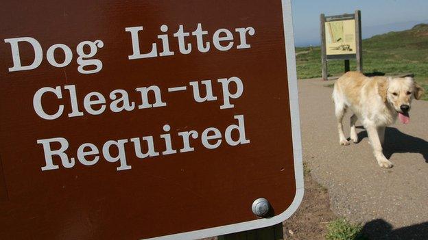 Sign saying "Dog litter clean-up required" with a dog walking past