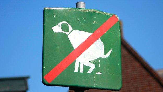 "No dog poo" sign