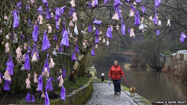 A woman walks her dog under the Todmorden tree of dog poo bags