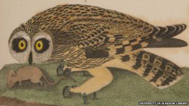 Owl and mouse courtesy of University of Glasgow Library