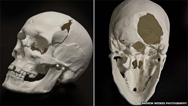 The new reconstruction of the skull from the side and underneath