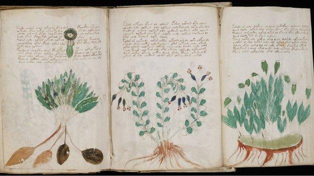 Voynich Manuscript