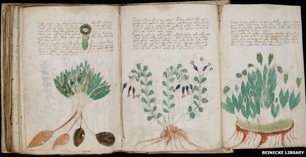 Voynich manuscript