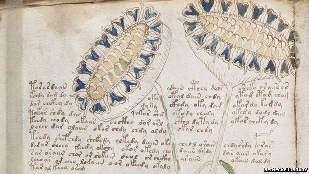 Voynich Manuscript - detail