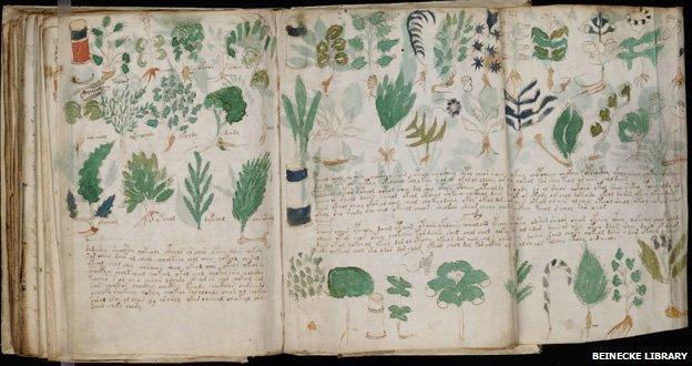 Voynich manuscript