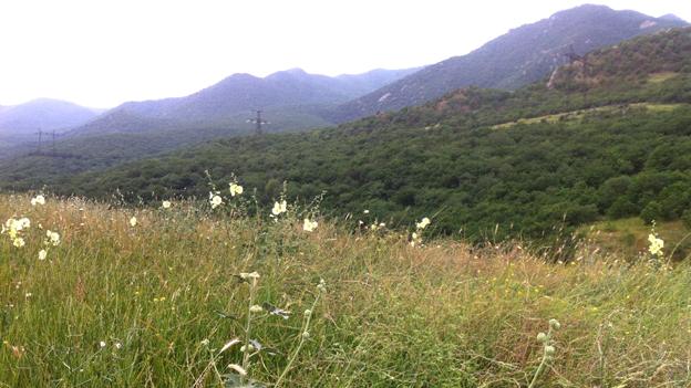 Dagestan fields