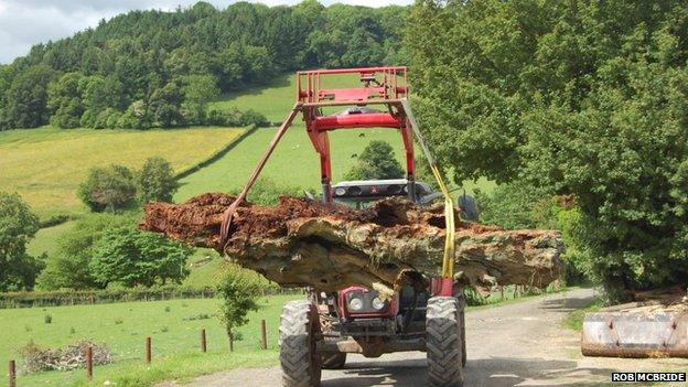 Parts of the tree were then moved away from the house