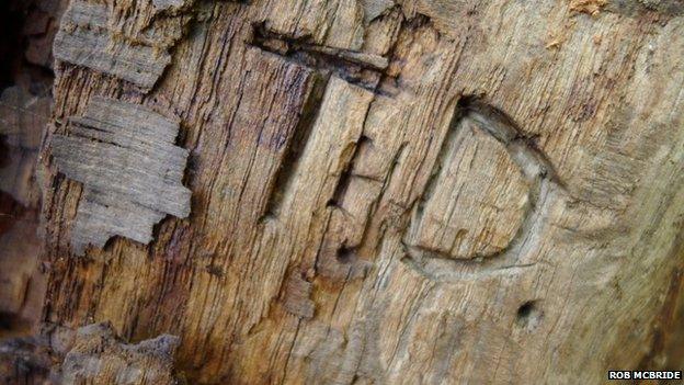 Some interesting wood carvings were found as the team dismantled the Pontfadog Oak