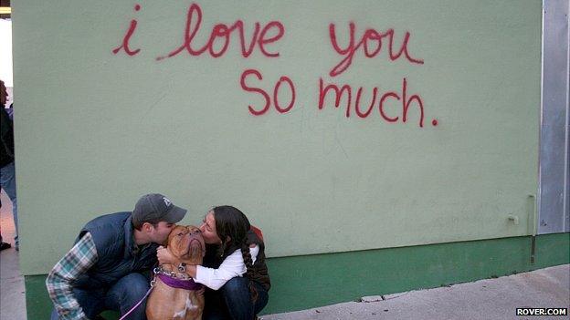 Grateful dog owners from Austin, Texas reunited with their pooch