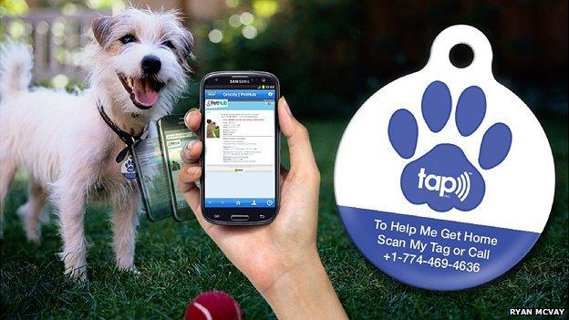 Pethub collar tag and app