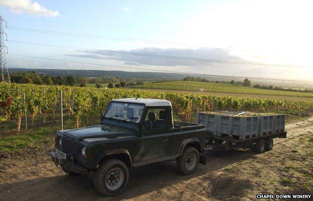 A truck hauls grapes at Chapel Down Winery in Kent