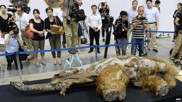 Photographers stand around a mammoth carcass in Yokohama, Japan