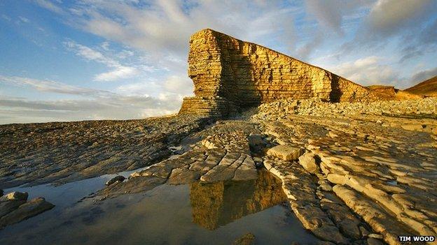 Nash point by Tim Wood