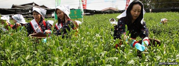 Women working on a farm in Japan