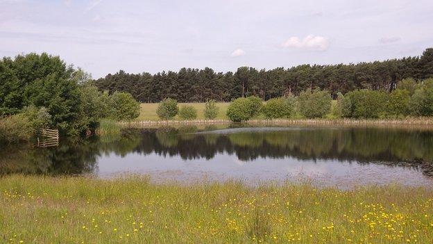 The airfield
