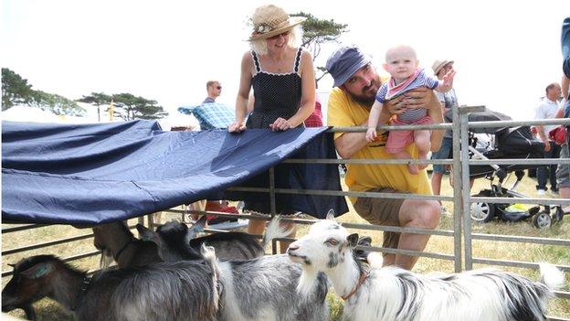 Southern Agricultural Show