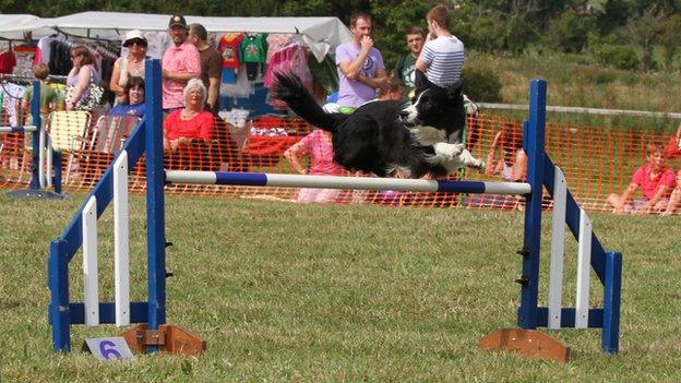 Southern Agricultural Show