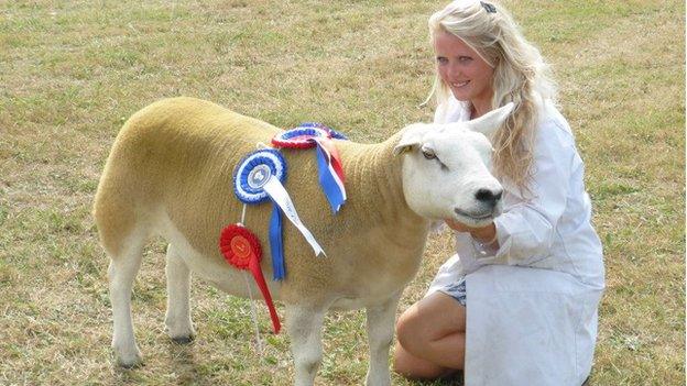 Southern Agricultural Show