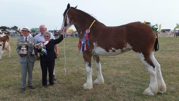 Southern Agricultural Show