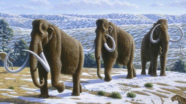 Woolly mammoths artwork