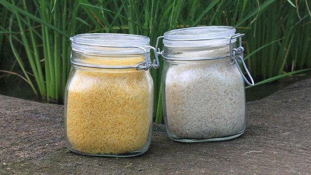 Golden rice