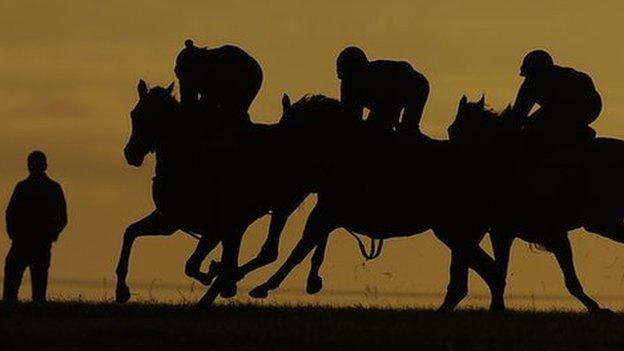 Horses on Newmarket gallops