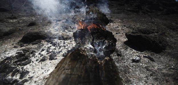 Burning tree, destroyed by a wildfire in Spain (Image: AP)