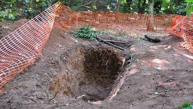 The hole left behind after a WWII sea mine was dug out of Guernsey's Bluebell Wood