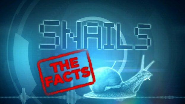 Snails