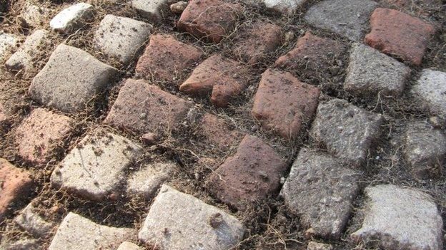 Close up of Chedworth mosaic