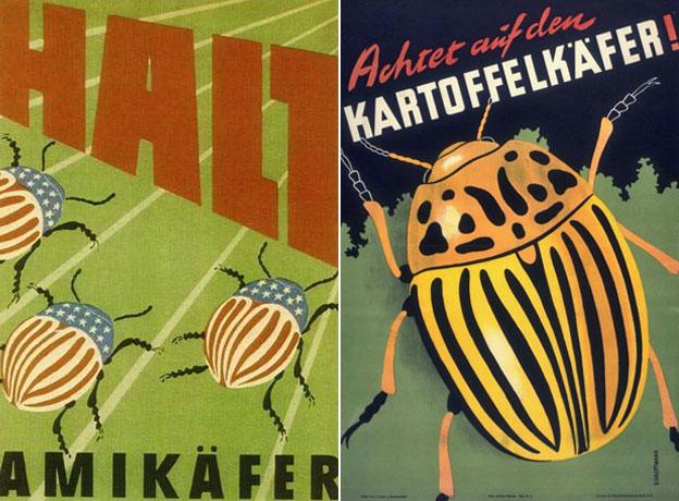 East German government public information leaflets about the problem of potato beetles