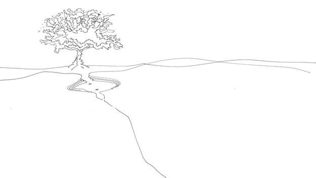 Architect's drawing of a tree