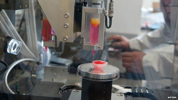 The 3D printer that will be used to print miniature organs for the 'body on a chip' system